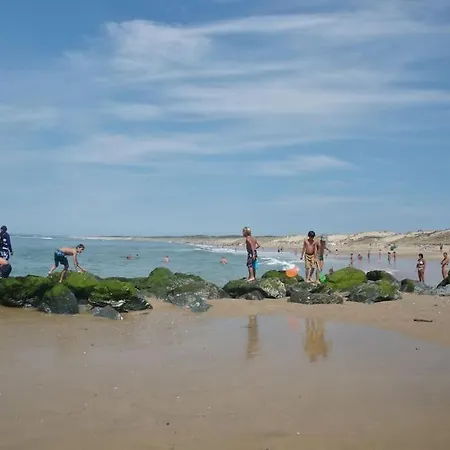 Dom wakacyjny Micro Maison Et Jardin En Bord De Mer *