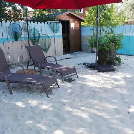 Micro Maison Et Jardin En Bord De Mer